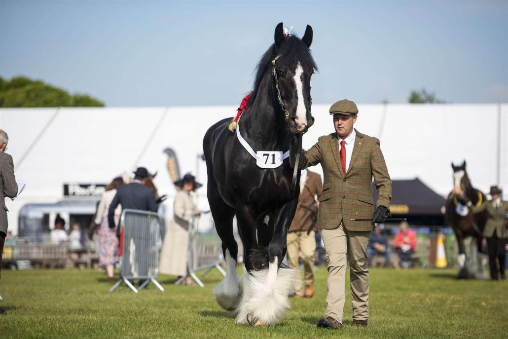 aussie marquees suffolk show